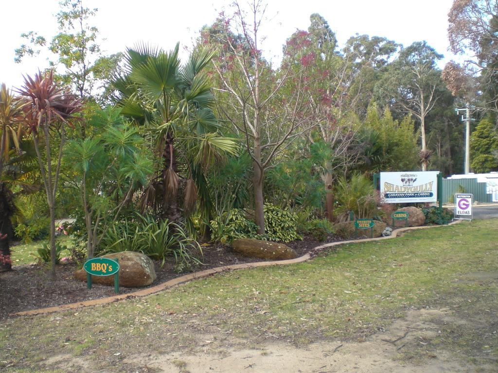 Mallacoota'S Shady Gully Caravan Park Εξωτερικό φωτογραφία