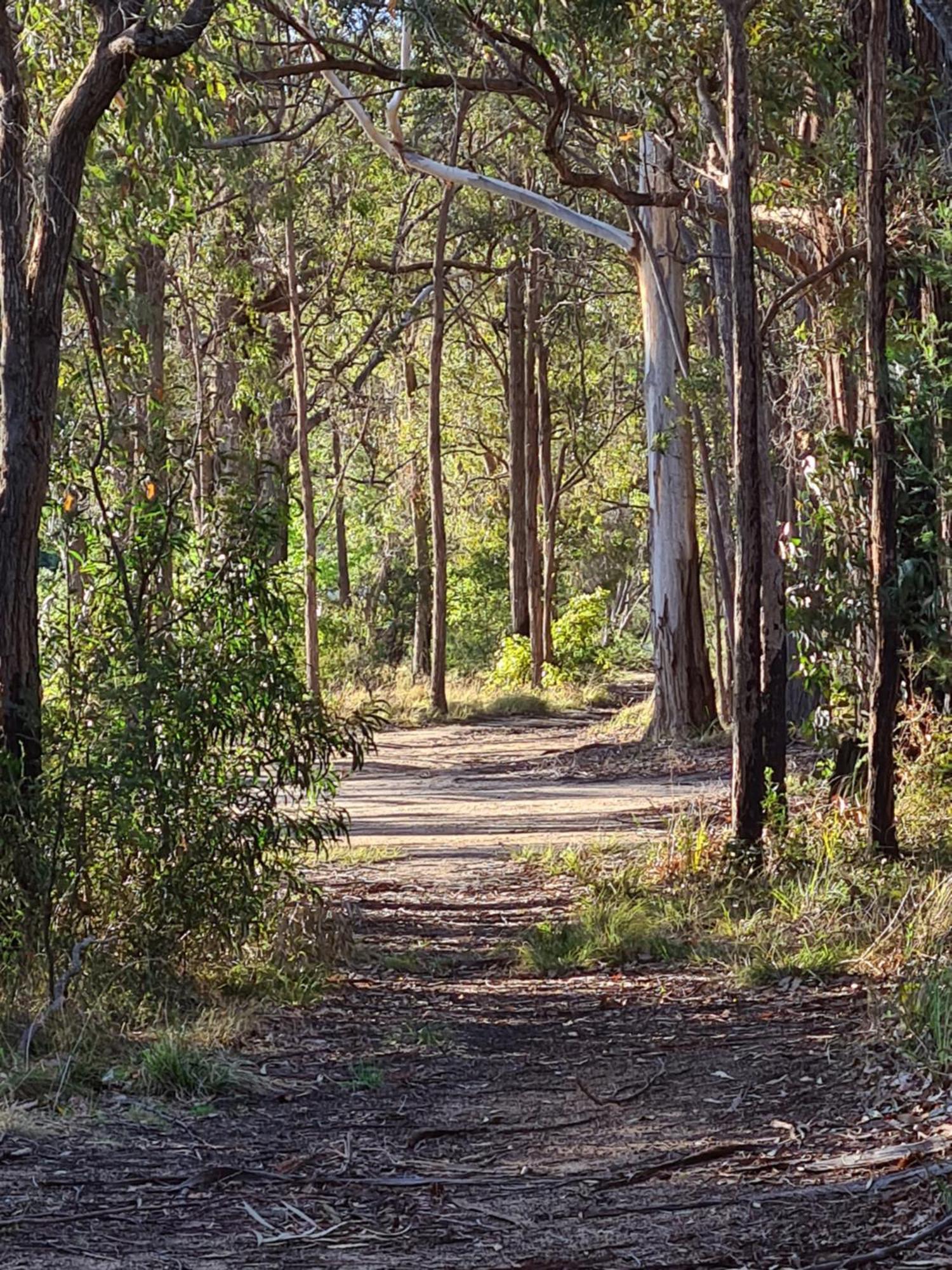 Mallacoota'S Shady Gully Caravan Park Εξωτερικό φωτογραφία