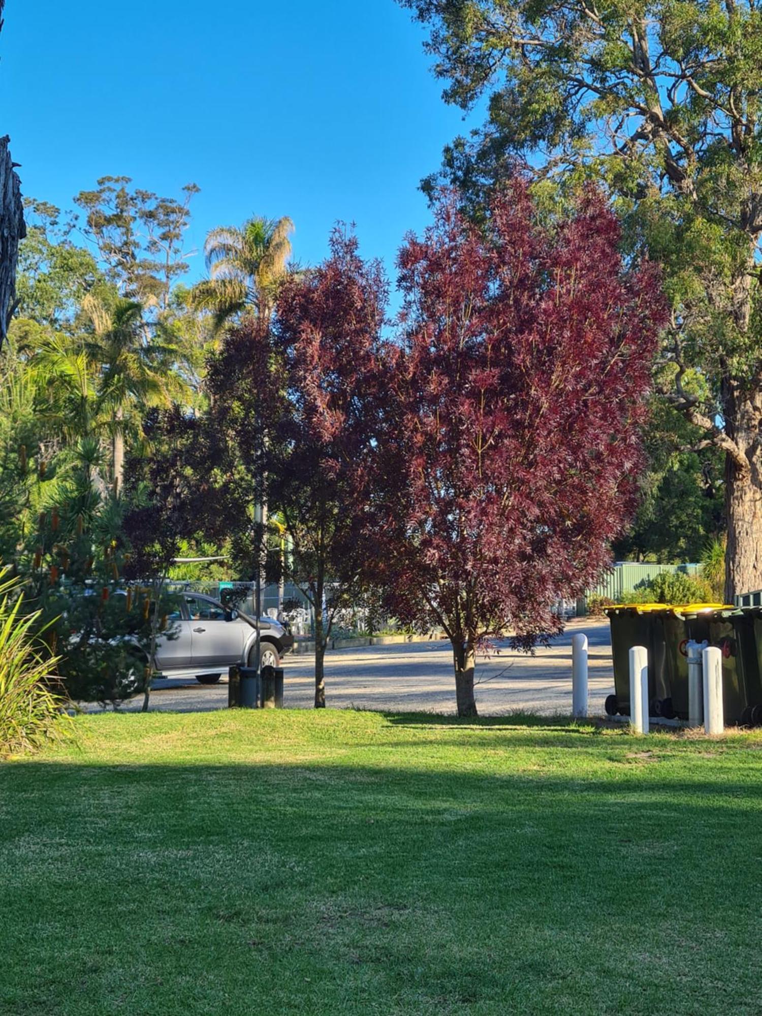 Mallacoota'S Shady Gully Caravan Park Εξωτερικό φωτογραφία